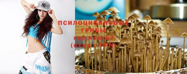 герыч Алзамай