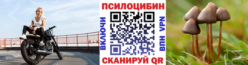 Галлюциногенные грибы Cubensis  Козловка 